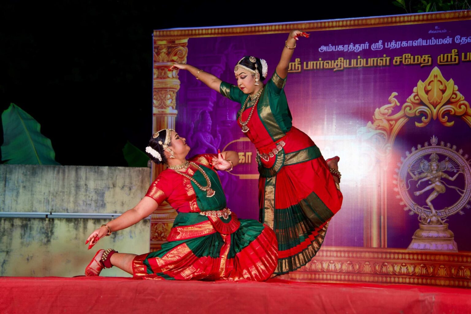 Natyanjali_byReyan Raman (26)